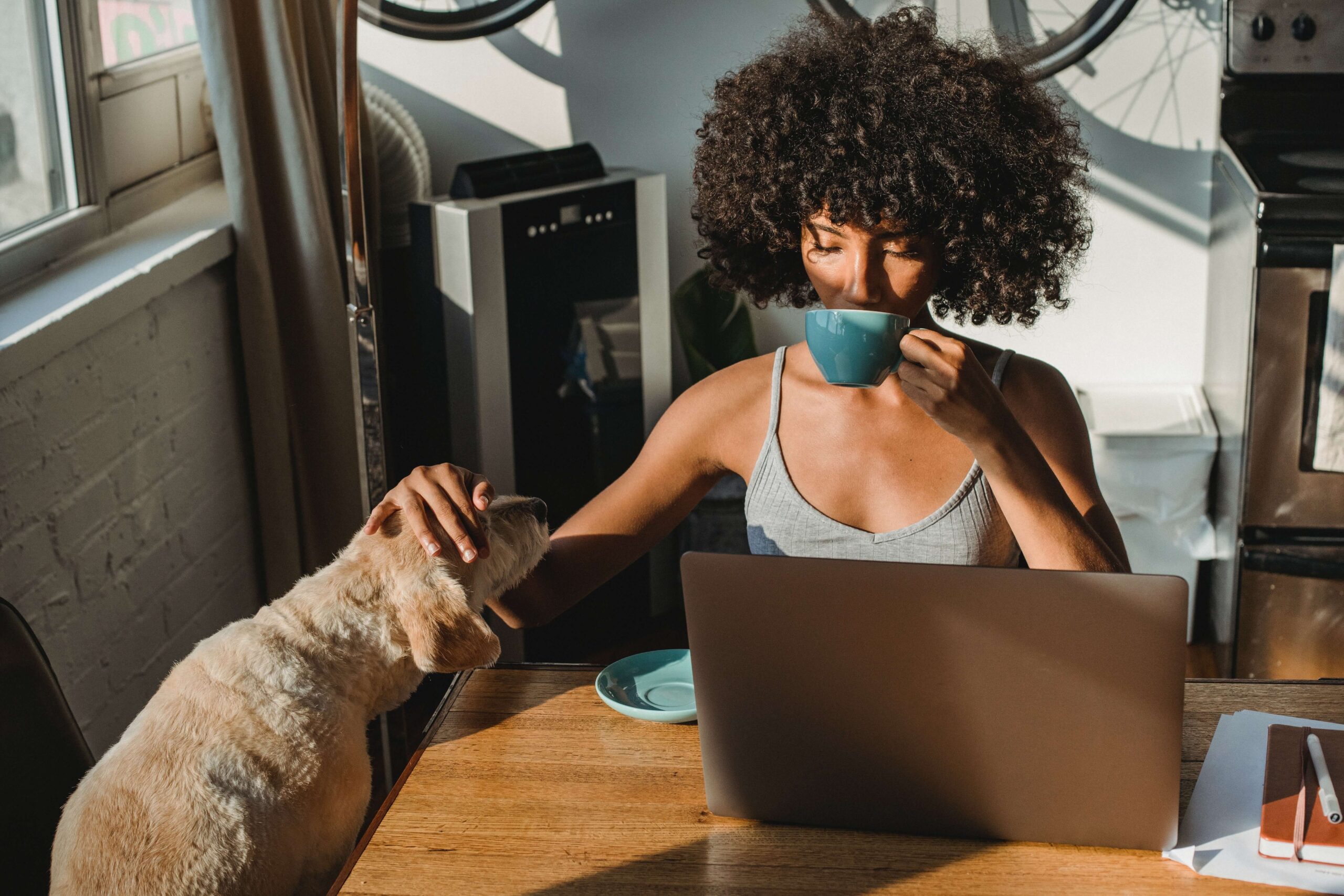 Laptop business